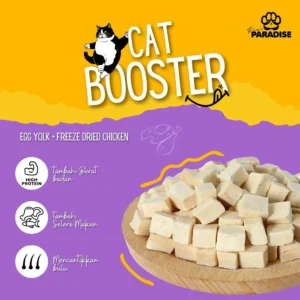 Paw's Paradise Cat Booster