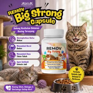 REMOV BIG STRONG 30CAPSULE | TAMBAH SELERA MAKAN