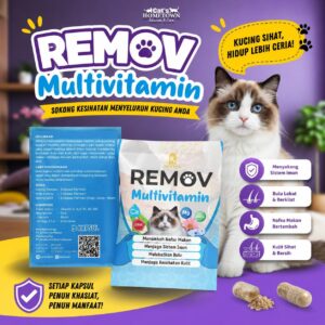 REMOV MULTIVITAMIN 5PCS | TAMBAH SELERA MAKAN