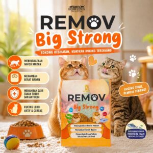 REMOV BIG STRONG SACHET 5PCS | UNTUK TAMBAH BERAT BADAN